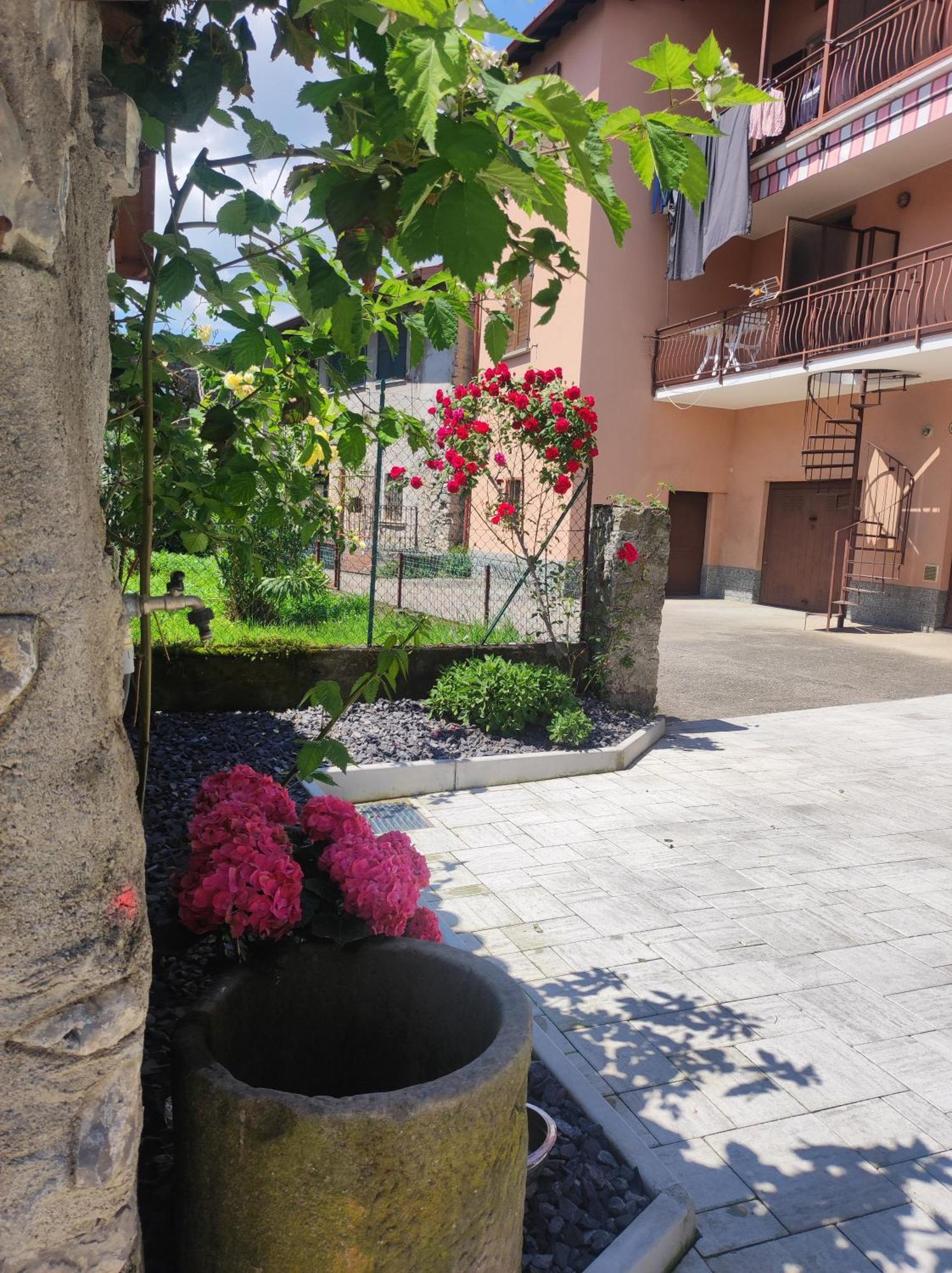 Luminoso Appartamento Vista Lago Solto Collina Ngoại thất bức ảnh